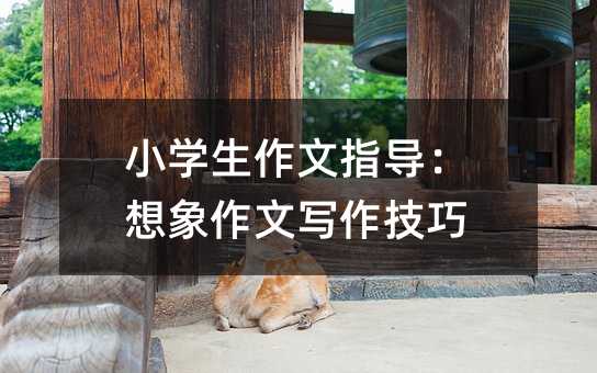 С�W������ָ�����������Č�������