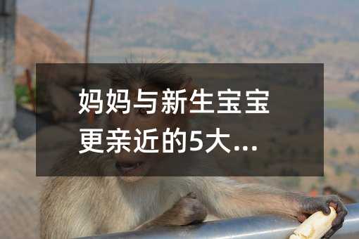 �����c�����������H����5����