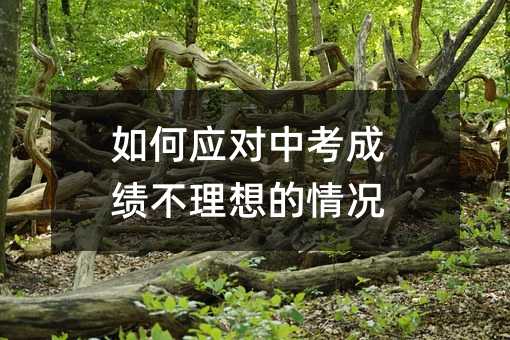 ��Α�(y��ng)���п��ɿ����������r