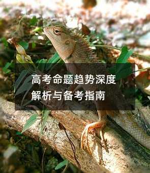 �߿����}څ����Ƚ����c�俼ָ��