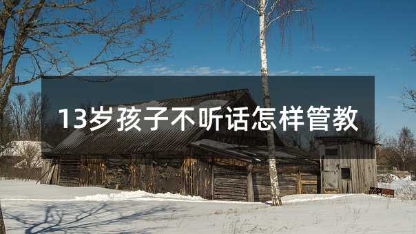 13�q���Ӳ� Ԓ���ӹܽ�