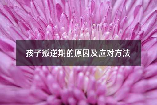 ���������ڵ�ԭ�򼰑�������