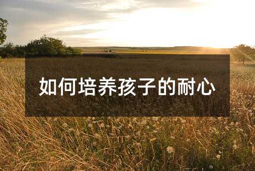 ������B(y��ng)���ӵ�����