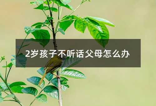 2�q���Ӳ� Ԓ��ĸ��ô�k