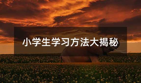小學生學習方法大揭秘