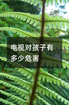 �ҕ�������ж���Σ��