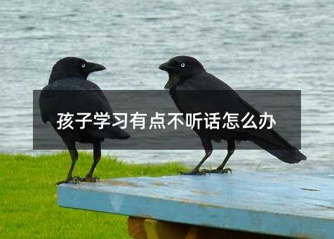 ���ӌW�����c�� Ԓ��ô�k