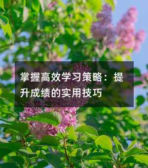 掌握高效學習策略:提升成績的實用技巧