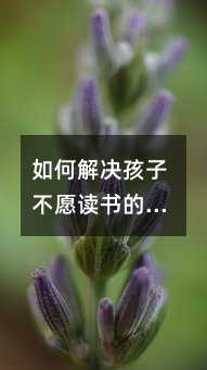 ��ν�Q���Ӳ�Ը�x���Ć��}