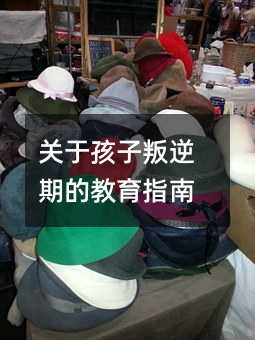 �P�ں��������ڵĽ���ָ��