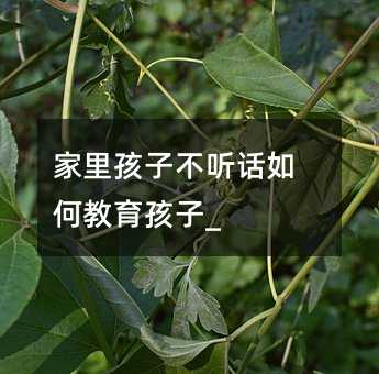 ���ﺢ�Ӳ� Ԓ��ν�������_