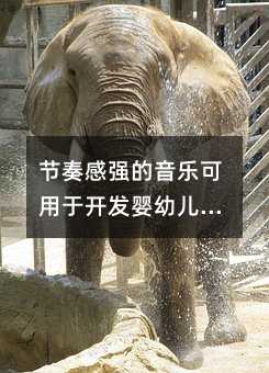 ��(ji��)��Џ��������������_�l(f��)���׃��������H��������