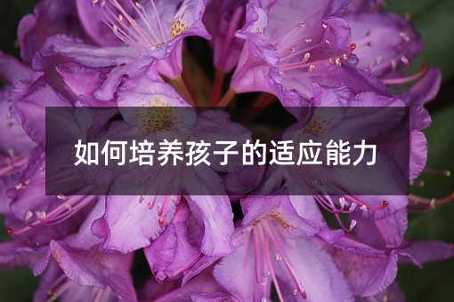 ������B���ӵ��m������