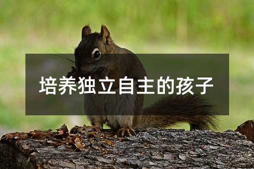 ���B���������ĺ���