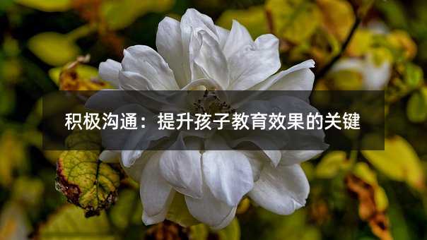 �e�O��ͨ���������ӽ���Ч�����P�I