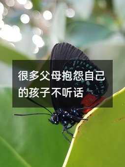 �ุܶĸ��Թ�Լ��ĺ��Ӳ� Ԓ