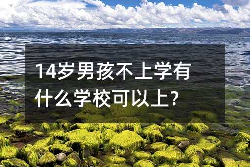 14�q�к����όW��ʲô�WУ��������