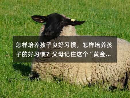 怎樣培養孩子良好習慣,怎樣培養孩子的好習慣?父母記住這個“黃金法則”,可省不少力氣