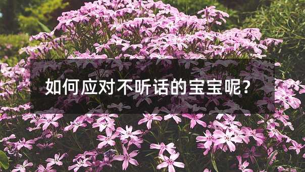 如何應對不聽話的寶寶呢?