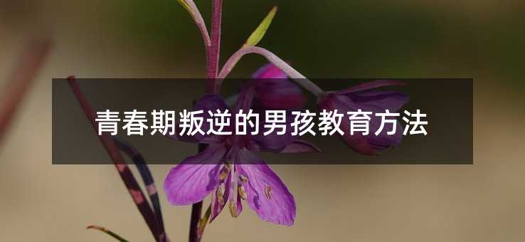 �ഺ��������к���������