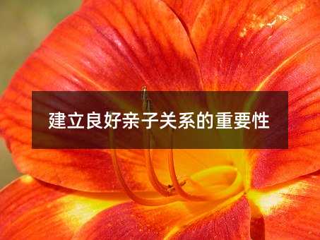 ���������H���Pϵ����Ҫ��