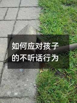 如何應對孩子的不聽話行為