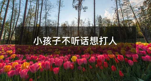 С���Ӳ� Ԓ�����