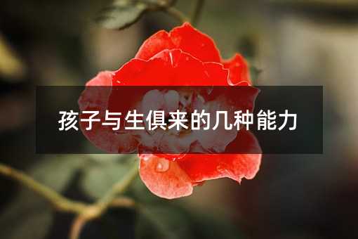 �����c�����(l��i)�Ď׷N����