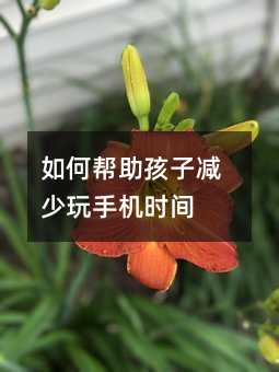 ��Ύ������Ӝp�����֙C�r�g