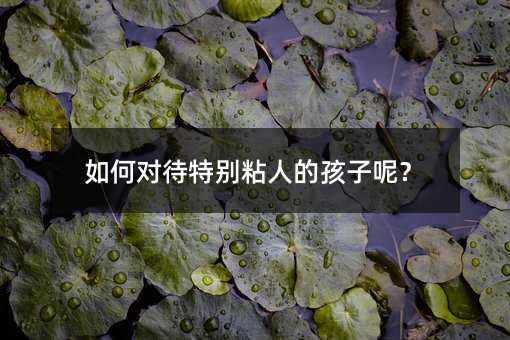 ��Ό����؄eճ�˵ĺ����أ�