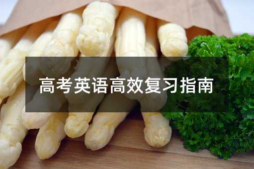 高考英語高效復(fù)習(xí)指南