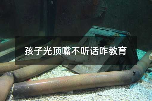 ���ӹ���첻 Ԓզ����