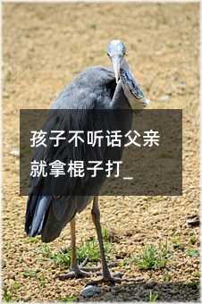 ���Ӳ� Ԓ���H���ù��Ӵ�_