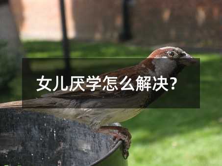 Ů�����W(xu��)��ô��Q��