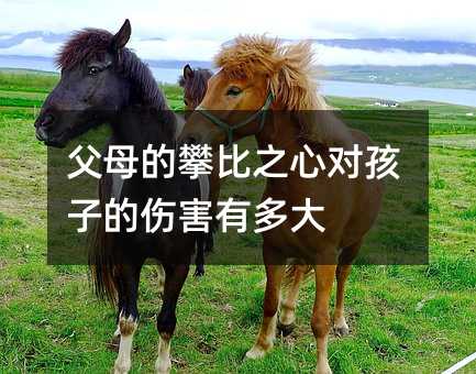 父母的攀比之心對孩子的傷害有多大