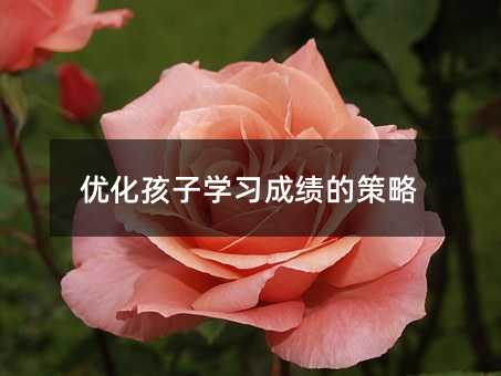 ��(y��u)�����ӌW���ɿ��Ĳ���