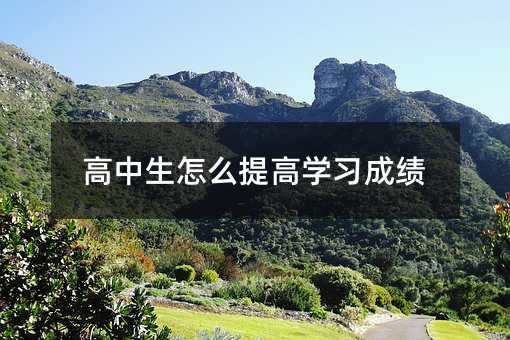 高中生怎么提高學習成績