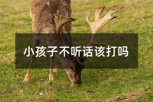 С���Ӳ� Ԓԓ���