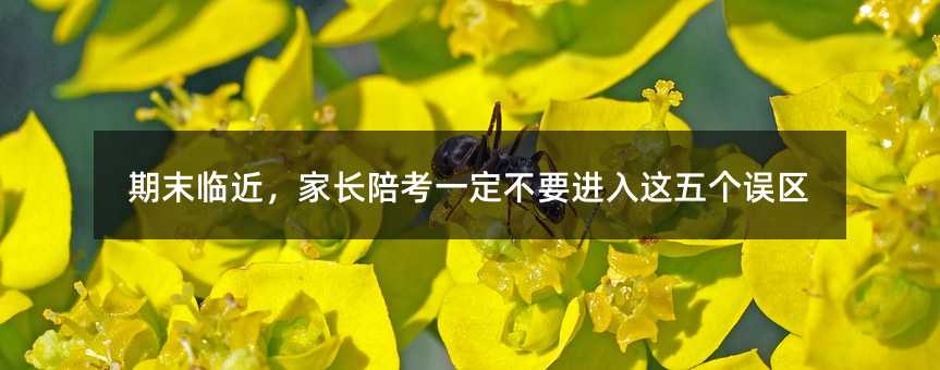 ��ĩ�R�������L�㿼һ����Ҫ�M���@�傀�`�^