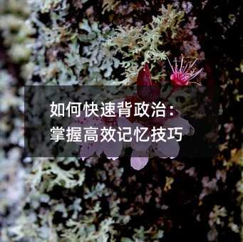 ��ο��ٱ����Σ����ո�Чӛ������