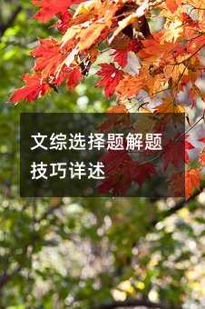 文綜選擇題解題技巧詳述