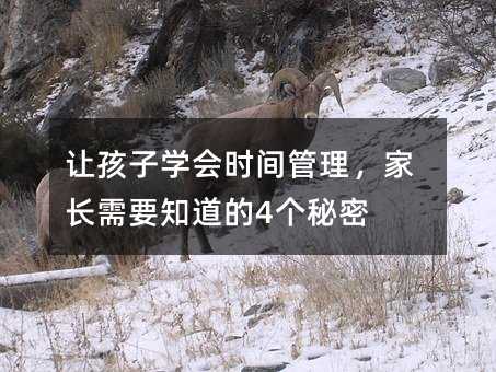 ׌���ӌW���r�g���������L��Ҫ֪����4������