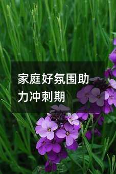 ��ͥ�÷Շ������_����