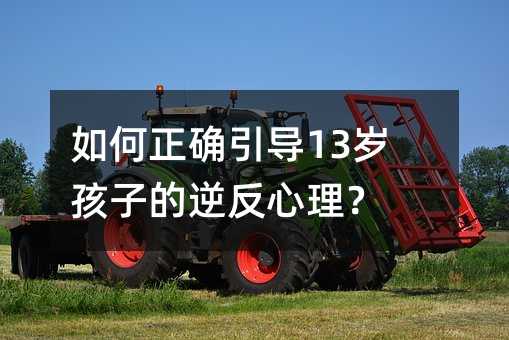 ������_����13�q���ӵ��淴������