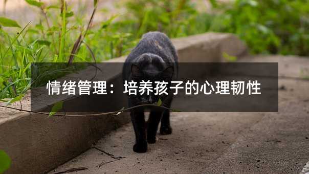 情緒管理:培養孩子的心理韌性