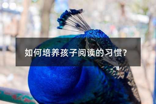 ������B������x�����T��