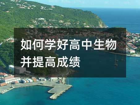 ��ΌW(xu��)�ø������ﲢ��߳ɿ�