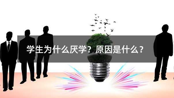 �W����ʲô���W��ԭ����ʲô��