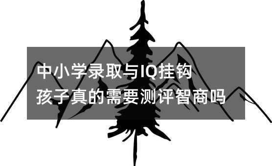 ��С�W�ȡ�cIQ���^ ���������Ҫ�y�u���̆᣿