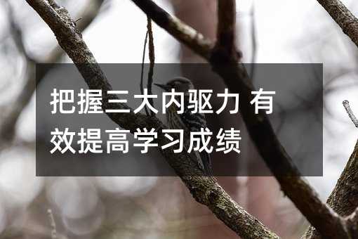 ���������(n��i)�(q��)�� ��Ч��ߌW(xu��)��(x��)�ɿ�